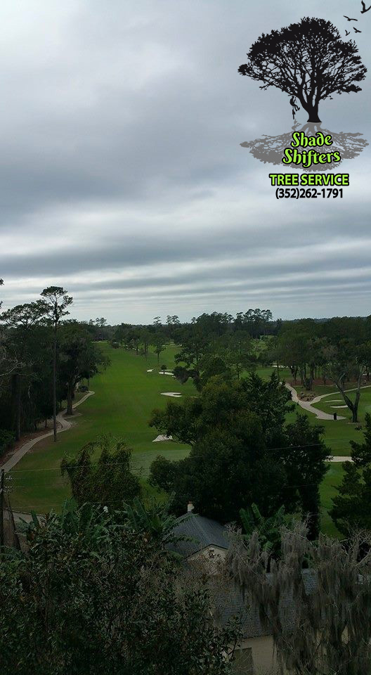 HighView 1