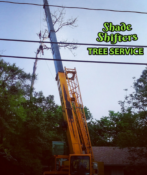 Site FrontB