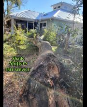 Shade Shifters Tree Service-4I