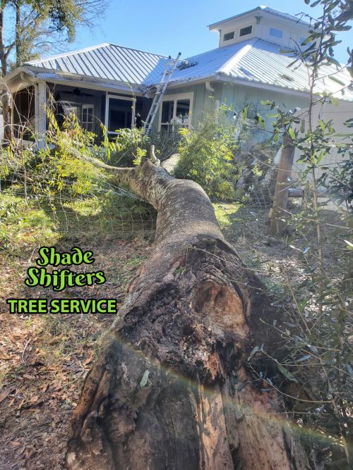 Shade Shifters Tree Service-4I