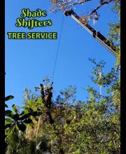 Shade Shifters Tree Service-4G