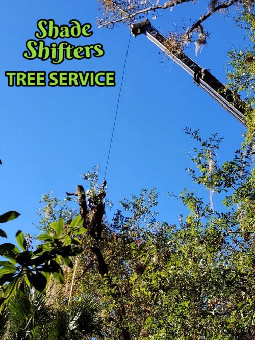 Shade Shifters Tree Service-4G