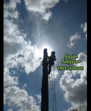 Shade Shifters Tree Service-4R