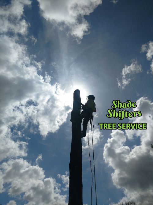 Shade Shifters Tree Service-4R