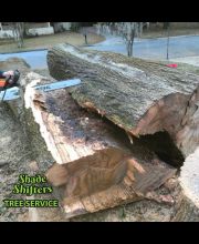 Shade Shifters Tree Service-4P