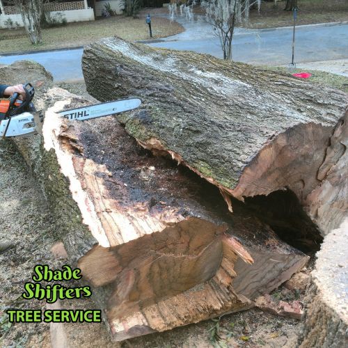 Shade Shifters Tree Service-4P