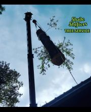 Shade Shifters Tree Service-4J