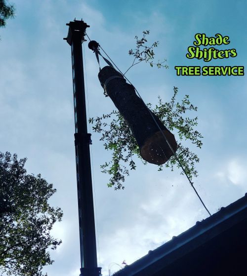 Shade Shifters Tree Service-4J