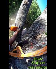 Shade Shifters Tree Service-4C