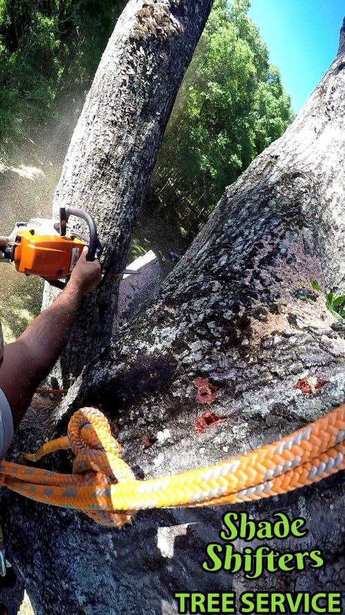 Shade Shifters Tree Service-4C