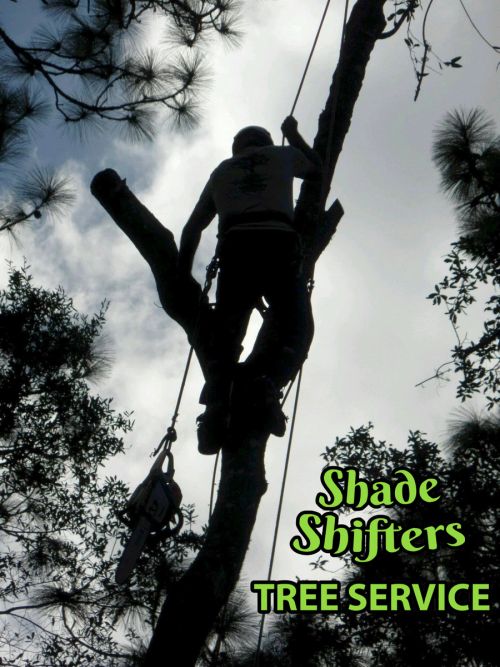 Shade Shifters Tree Service-4E