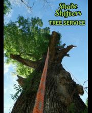 Shade Shifters Tree Service-4D