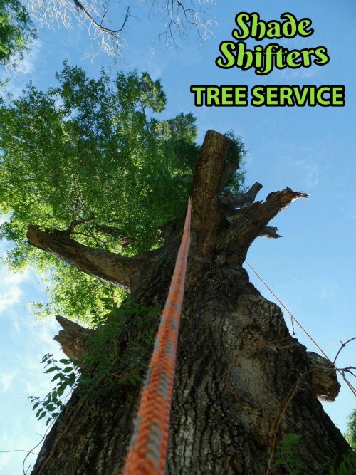 Shade Shifters Tree Service-4D