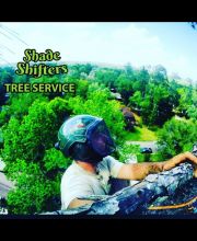 Shade Shifters Tree Service-4Q