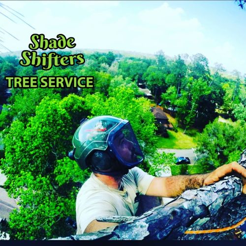 Shade Shifters Tree Service-4Q