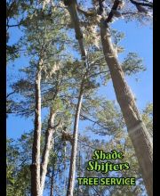 Shade Shifters Tree Service-4F