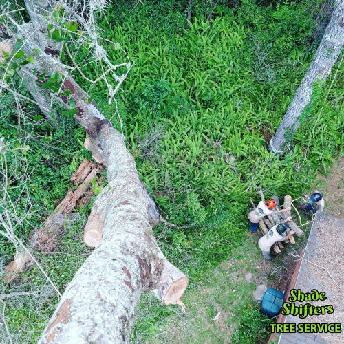 Shade Shifters Tree Service-4H