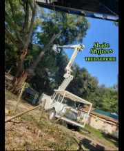Shade Shifters Tree Service-4L