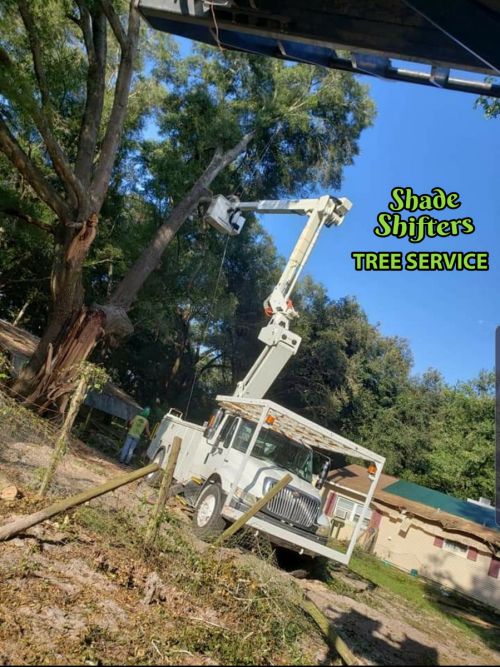 Shade Shifters Tree Service-4L