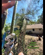 Shade Shifters Tree Service-4S