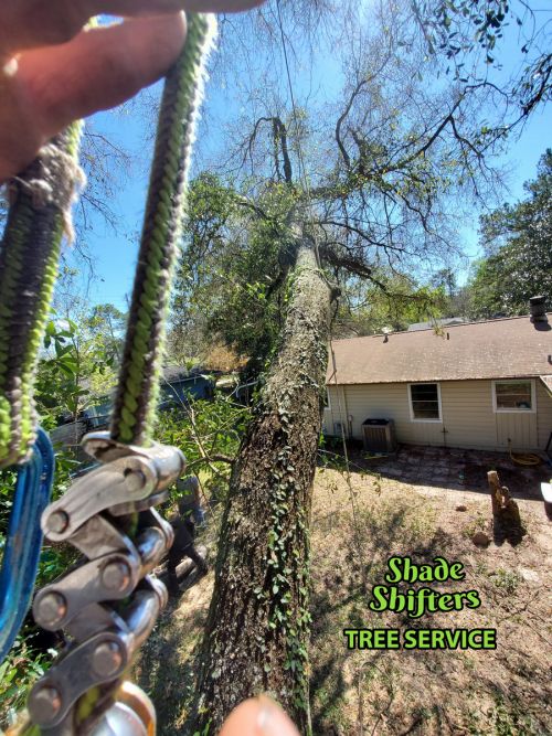 Shade Shifters Tree Service-4S