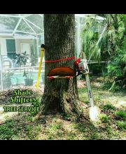 Shade Shifters Tree Service-4N