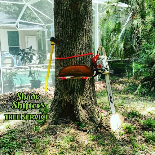 Shade Shifters Tree Service-4N