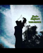 Shade Shifters Tree Service-4U