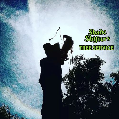 Shade Shifters Tree Service-4U